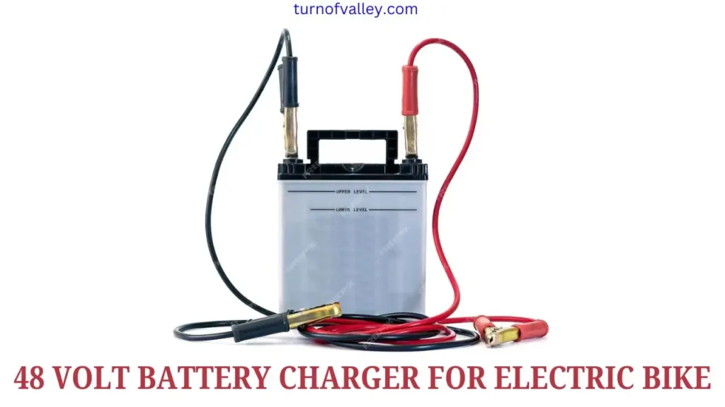48 Volt Battery Charger For Electric Bike